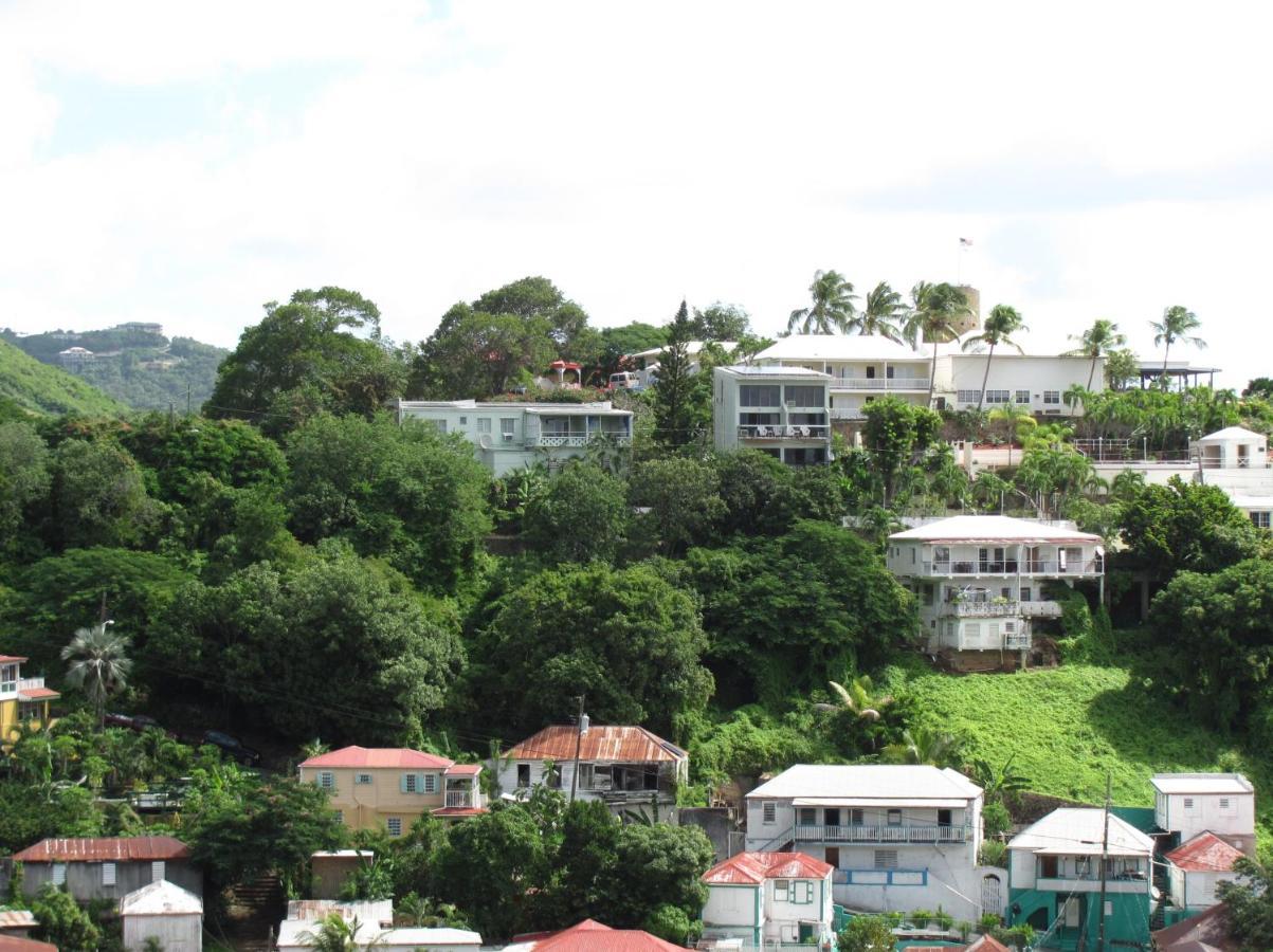 The Green Iguana Hotel Charlotte Amalie Zewnętrze zdjęcie