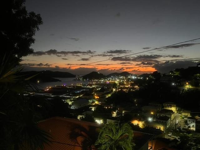 The Green Iguana Hotel Charlotte Amalie Zewnętrze zdjęcie