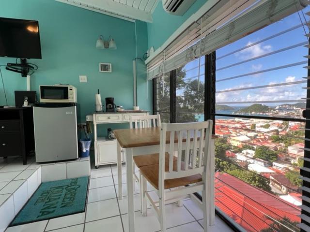The Green Iguana Hotel Charlotte Amalie Zewnętrze zdjęcie